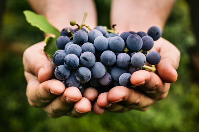 uvas de cambados